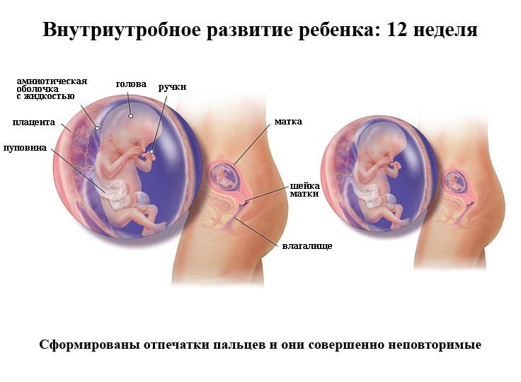 Через 12 недель угроза здоровью малыша снижается