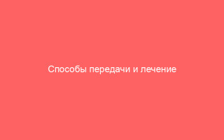 Способы передачи и лечение генитального герпеса