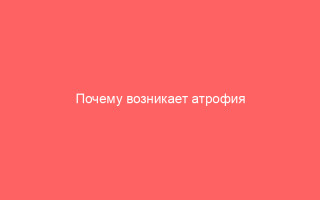 Почему возникает атрофия яичек и как ее избежать