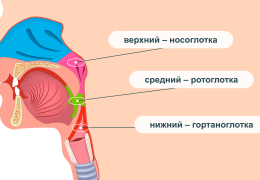 Ринофарингит симптомы и лечение у взрослых.1
