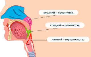 Ринофарингит симптомы и лечение у взрослых.1
