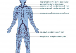 Увеличение лимфоузлов причины симптомы и лечение
