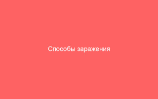Способы заражения ветрянкой взрослых и детей
