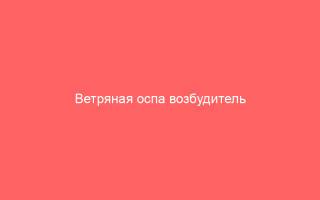 Ветряная оспа возбудитель