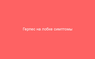 Герпес на лобке симптомы причины и эффективное лечение у мужчин и женщин