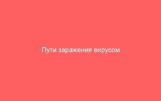 Пути заражения вирусом Эпштейна-Барр симптоматика и лечение