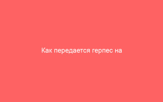 Как передается герпес на губах и как долго он заразен полезная информация
