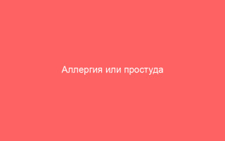 Аллергия или простуда