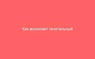 Как возникает генитальный герпес у детей и как его лечить_1