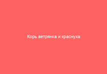Корь ветрянка и краснуха различия и особенности