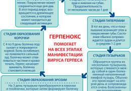 Гель стоматологический Герпенокс – описание и способы применения