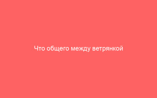 Что общего между ветрянкой и герпесом