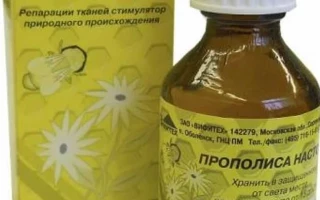 Прополис от простуды применение настойки для эффективного лечения