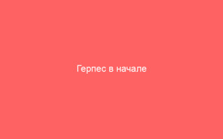 Герпес в начале беременности причины опасности и методы лечения