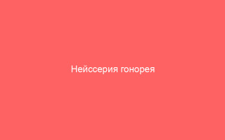 Нейссерия гонорея Проявление Лечение