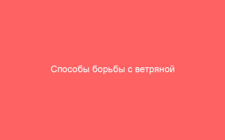 Способы борьбы с ветряной оспой у детей и взрослых