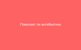 Помогают ли антибиотики при герпесе