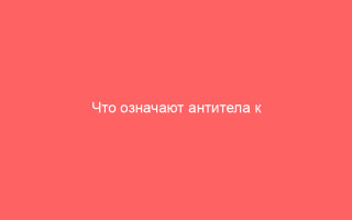 Что означают антитела к вирусу герпеса Anti HSV 1 и 2 типов