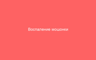 Воспаление мошонки симптомы и способы лечения