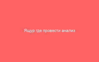Ящур где провести анализ