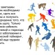 Можно ли заниматься спортом при гайморите упражнения и противопоказания