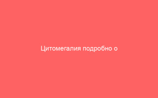 Цитомегалия подробно о заболевании и его видах