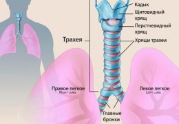 Ринофаринготрахеит симптомы и лечение у детей и взрослых