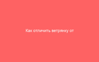 Как отличить ветрянку от краснухи