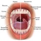 Опухли гланды причины симптомы и домашнее лечение миндалин