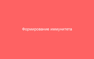 Формирование иммунитета от ветрянки