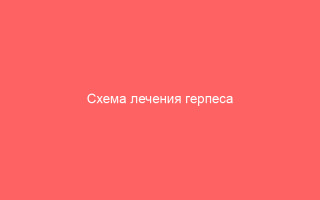 Схема лечения герпеса внутри губы эффективные методы и рекомендации