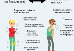 Разница между ОРВИ и ОРЗ отличия заболеваний