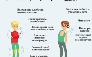 Разница между ОРВИ и ОРЗ отличия заболеваний