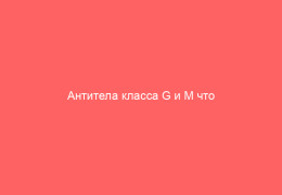 Антитела класса G и M что это такое и причины назначения анализов