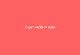Вирус герпеса пути передачи