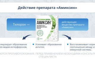 Список иммуномодулирующих и противовирусных препаратов для поддержки иммунитета