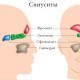 Хронический синусит у взрослых симптомы и методы лечения