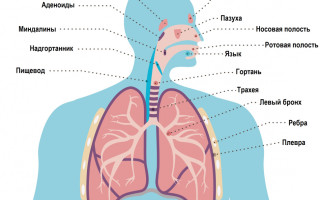 Хрипы в горле при дыхании причины симптомы и методы лечения