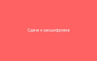 Сдача и расшифровка анализа на герпес
