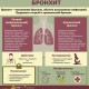 Острый бронхит симптомы лечение и профилактика