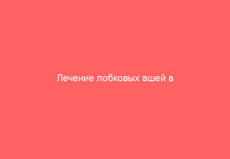 Лечение лобковых вшей в домашних условиях
