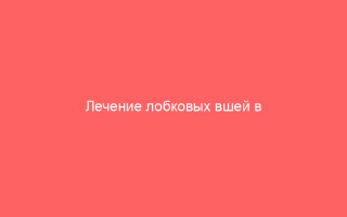 Лечение лобковых вшей в домашних условиях