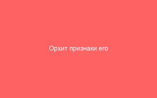 Орхит признаки его развития и способы лечения