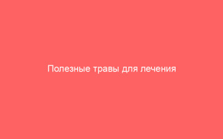 Полезные травы для лечения гепатита С
