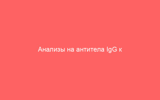 Анализы на антитела IgG к ВПГ показания и интерпретация результатов