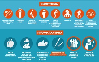 Сколько длится простуда у взрослого когда она проходит и через сколько дней