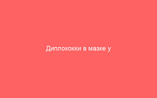 Диплококки в мазке у женщин Причины обнаружения