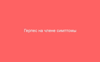 Герпес на члене симптомы лечение и рекомендации