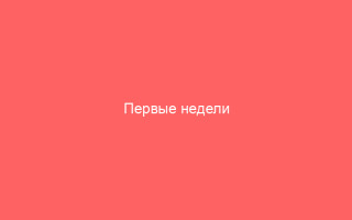 Первые недели беременности и герпес