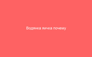 Водянка яичка почему возникает как лечить